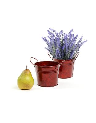 5  tin pot translucent red by03 1tr wholesale metal containers pails